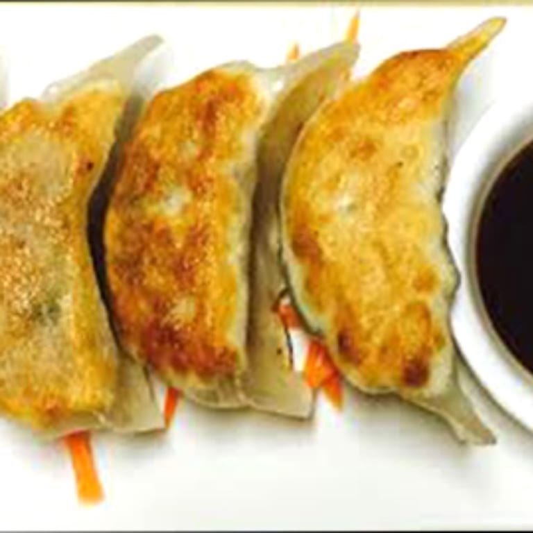 Savor Our Dumplings