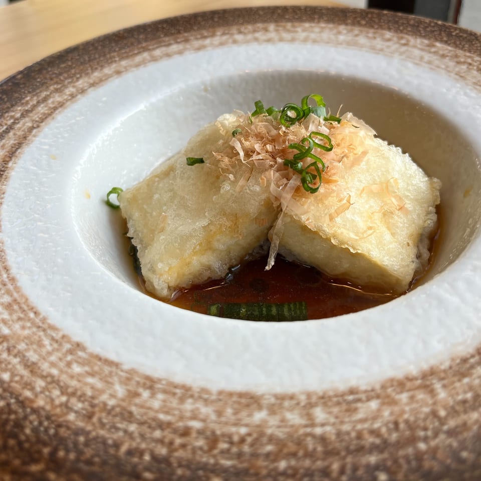 Two pieces of agedashi tofu in a brown broth, garnished with bonito flakes and green onions.